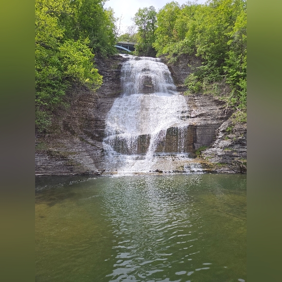 Meet your Posher, Harley T - Picture 3 of 9